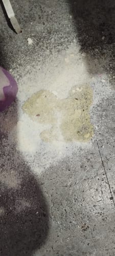 Customer photo review of Paquete Peludos - Membresía - 2 Piezas de 850 grs + Envío GRATIS