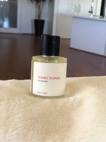 Customer photo review of Sunset in Paris