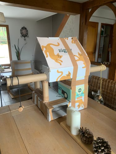 Avis photo d'un client sur Croquettes Chat Stérilisé Sans Céréales - Poulet