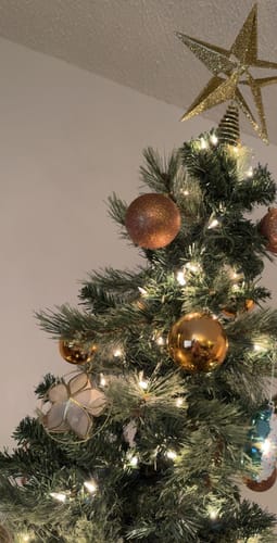 Customer photo review of Philippines Capiz Ornaments 3"