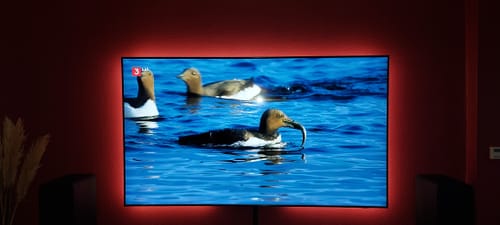 Customer photo review of Smarter LED-Strip white+color, 5 m