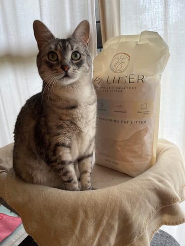 Customer photo review of 3 Month Supply - 1 Cat