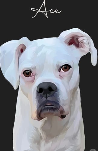 Customer photo review of Pet Art Canvas Wrap