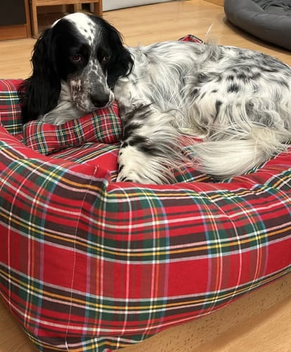 Customer photo review of Divanetto Cotone Scozzese Rosso