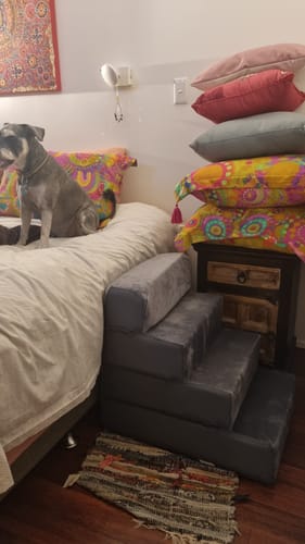 Customer photo review of PaWz Detachable Pet Stairs Grey
