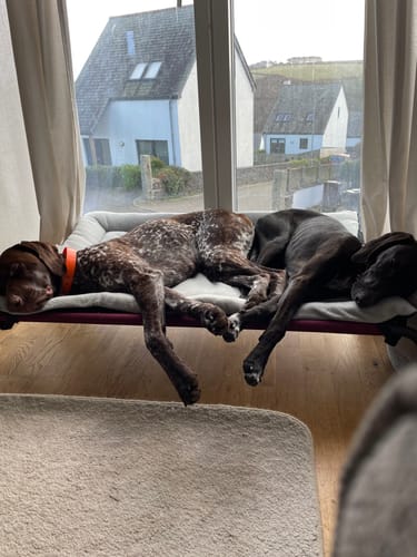 Customer photo review of 30% OFF Ice Grey & Black Reversible Pad