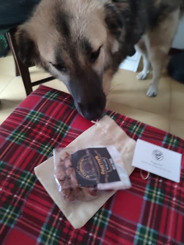 Customer photo review of Malloppo | Biscotti Per Cani