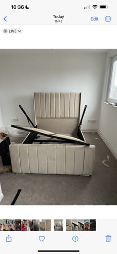 Customer photo review of Lynx Wing Bed