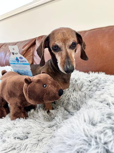 Customer photo review of Clean Earth Plush - 100% Sustainable