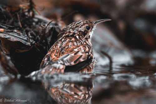 Customer photo review of Deep Blues Lightroom Presets Pack