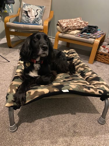 Customer photo review of 25% OFF Camo & Black Reversible Pad