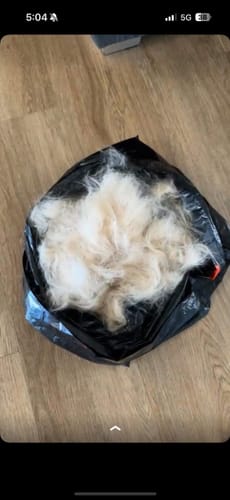 Customer photo review of PaWz Pet Grooming Kit Vacuum Dog Cat Hair Dryer