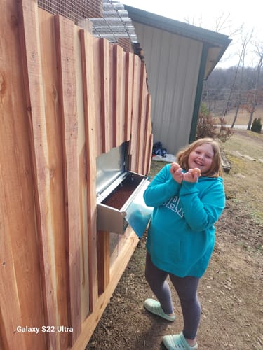 Customer photo review of Small (24") Reversible Rollout Nest Box (Up to 20 Hens) - Premium Grade - Ready to Ship!