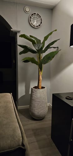 Customer photo review of Kunst Bananenplant Serie B 150cm