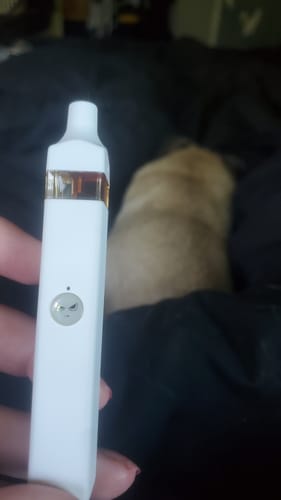 Customer photo review of DOZOGIVING STUFF BUNDLE - $180 VALUE