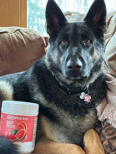 Customer photo review of WICKED Cherry Limeade Clear Whey Isolate Protein Powder (Pre Order)