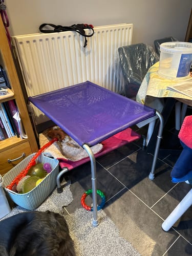 Customer photo review of HiK9 Bed with Purple Mesh Cover