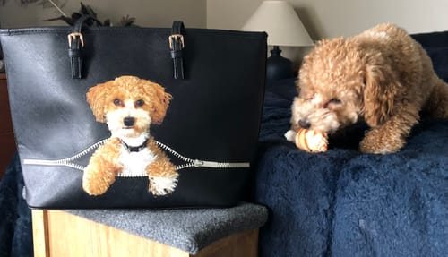 Customer photo review of Go Out Together - Personalized Tote Bag With Your Pet's Photo V1-D