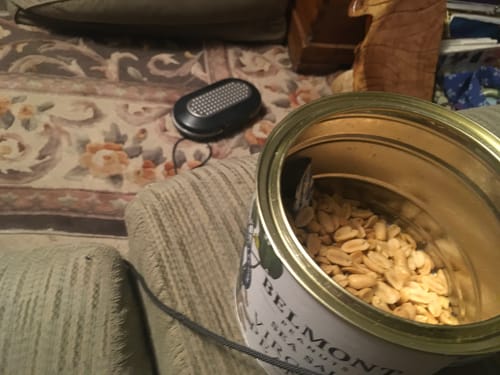 Customer photo review of Sea Salt