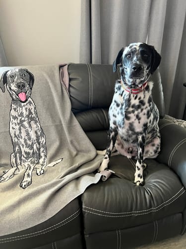 Customer photo review of Plain Dog - Custom Knitted Blanket