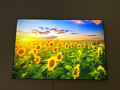 Customer photo review of Wechselmotiv | Leuchtend gelbe Sonnenblumen am Abend | Querformat