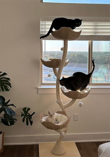 Customer photo review of MICHU Ivy Cat Tower Deluxe 4-Tier Designer Cat Tree