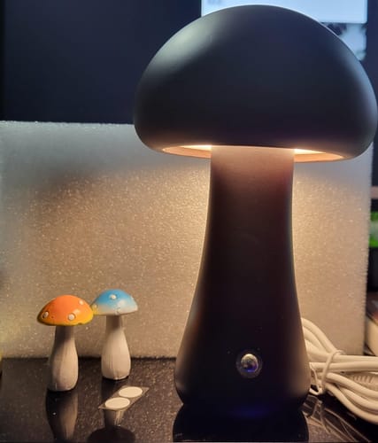 Customer photo review of Wooden Cute Mushroom Lamp