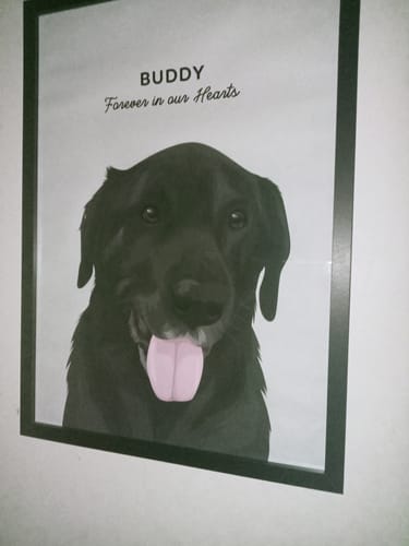 Customer photo review of Custom Pet Portrait - One Pet