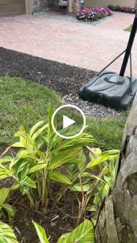 Customer video review of Original