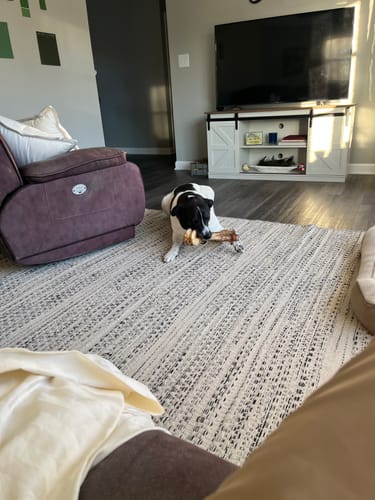 Customer photo review of Ostrich Hip Bone. Long-lasting, Natural Dog Gnaw Treat by Savannah Pet Food