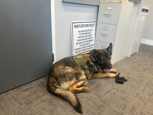 Customer photo review of Classic Heavy-Duty Tactical No-Pull Team K9™ Dog Harness With Front & Back D-Rings, Quick-Release Metal-Buckles, Hook & Loop Panels, & Top Handle