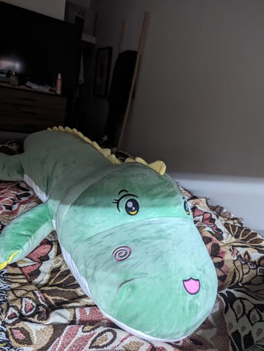 Customer photo review of Dinosaur Plush Toy Pillow