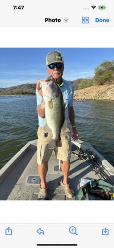 Customer photo review of 97% Purity Tungsten Barrel Weights | Carolina Weights | Bulk Pack