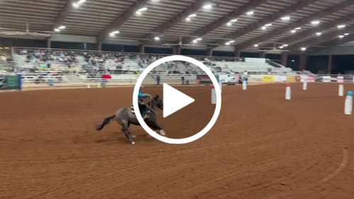 Customer video review of OptiWize Collagen +Plus Equine 14lbs