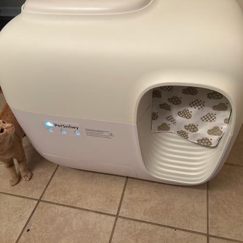 Customer photo review of Self-Cleaning Litter Box