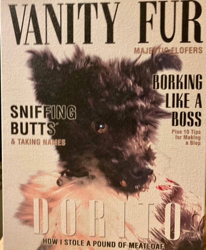 Customer photo review of 'Vanity Fur' Personalized Pet Canvas