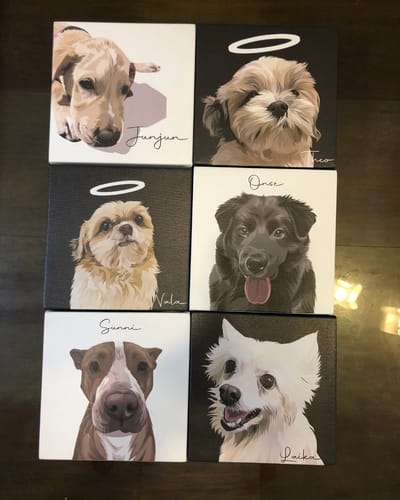 Customer photo review of Pet Canvas Wrap - Solo