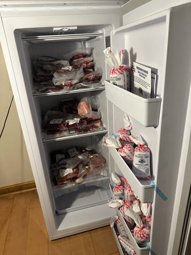 Customer photo review of Quarter Cow (Deposit)