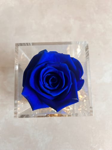 Customer photo review of Single Rose Acrylic With Storage Drawer