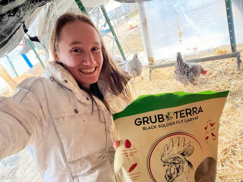 Customer photo review of GrubTerra Dried Black Soldier Fly Larvae