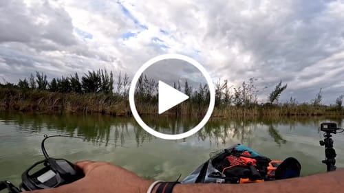 Customer video review of NEW! Flight Feather FF01 Power BFS Casting Reel | Cormorant Casting Reel