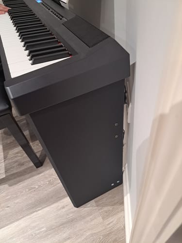 Customer photo review of Donner DEP-20 Portable Keyboard 88-Key Weighted with Stand