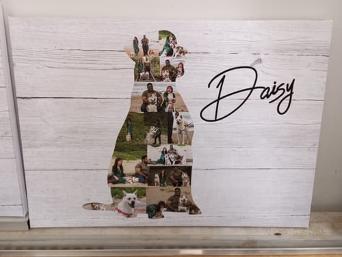 undefined review of Doggy Collage image 1 out of 3