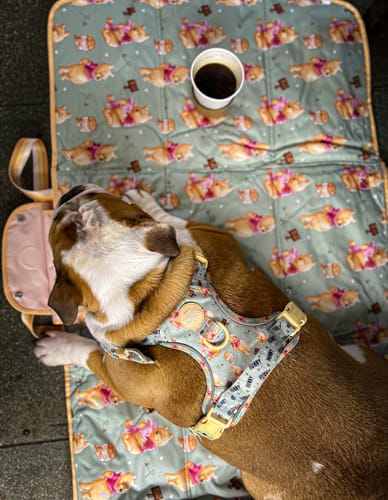 Customer photo review of Travel Mat - Winnie The Pooh