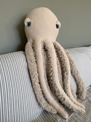 Customer photo review of The Octopus