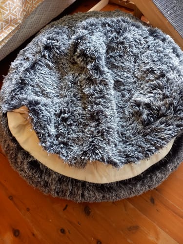 Customer photo review of PaWz Removable Cover Pet Calming Bed