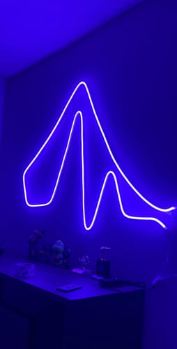 Customer photo review of NoolaNeons™