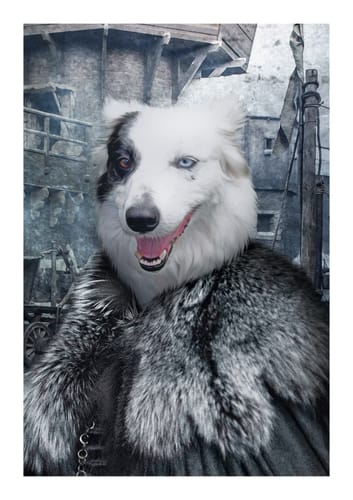 Customer photo review of The North Queen - Custom Vintage Pet Portrait