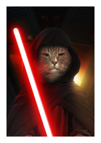 Customer photo review of The Dark Lord - Custom Pet Portrait