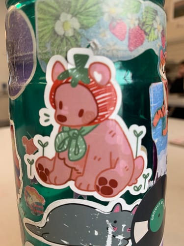 Customer photo review of Tomato Teddy Bear Sticker